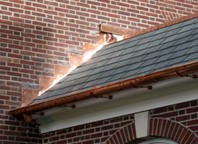 Ely-Allen-&Brewster-(EAB)-Houses-The-College-of-New-Jersey-3